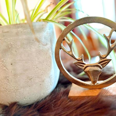 ホテル Tirolerhof Doelsach リエンツ エクステリア 写真
